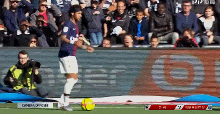 伦敦奥运马术冠军与爱驹双双安乐死，二十余年相伴征服世界赛场